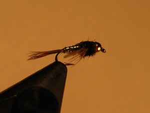 Side View