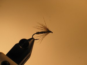 img_1197 img_1197