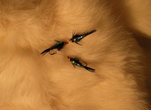 img_1233 img_1233