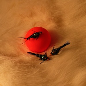 img_12371
