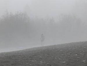 Bob in the Mist