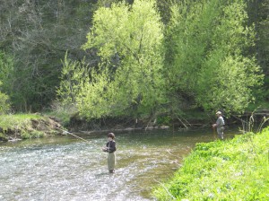 img_1711