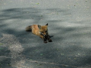img_1793