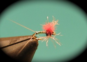 img_1899 Hi-Vis Fire Fly spinner(female)