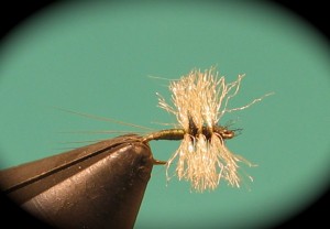 img_1909 Triple wing spinner(female)