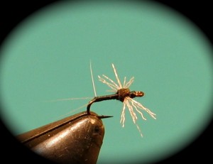 img_1911 Organza spinner(male)