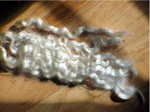 mohair_locks mohair_locks