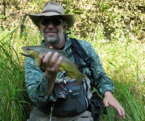 IMG_2099 Nice Brown