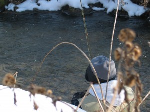 IMG_2405