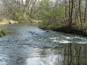 IMG_2578