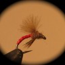 CDC Biot Body Midge/Caddis Emerger-(Red)