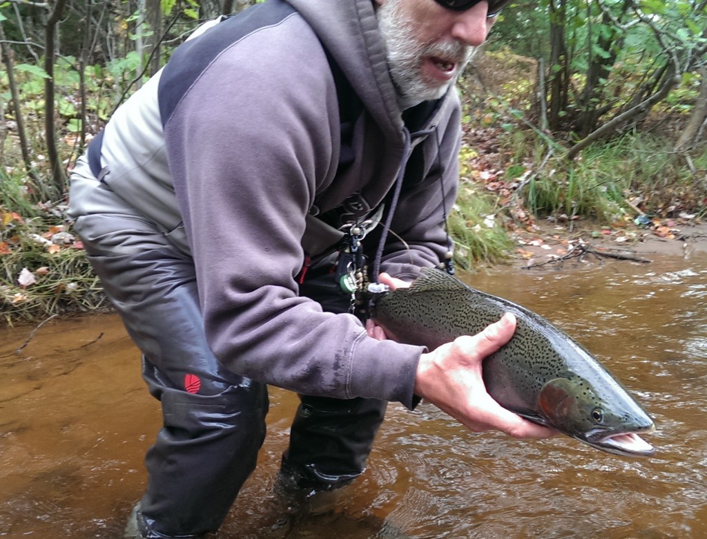 Goat vs Steelhead Birch to Birthday Battle 2